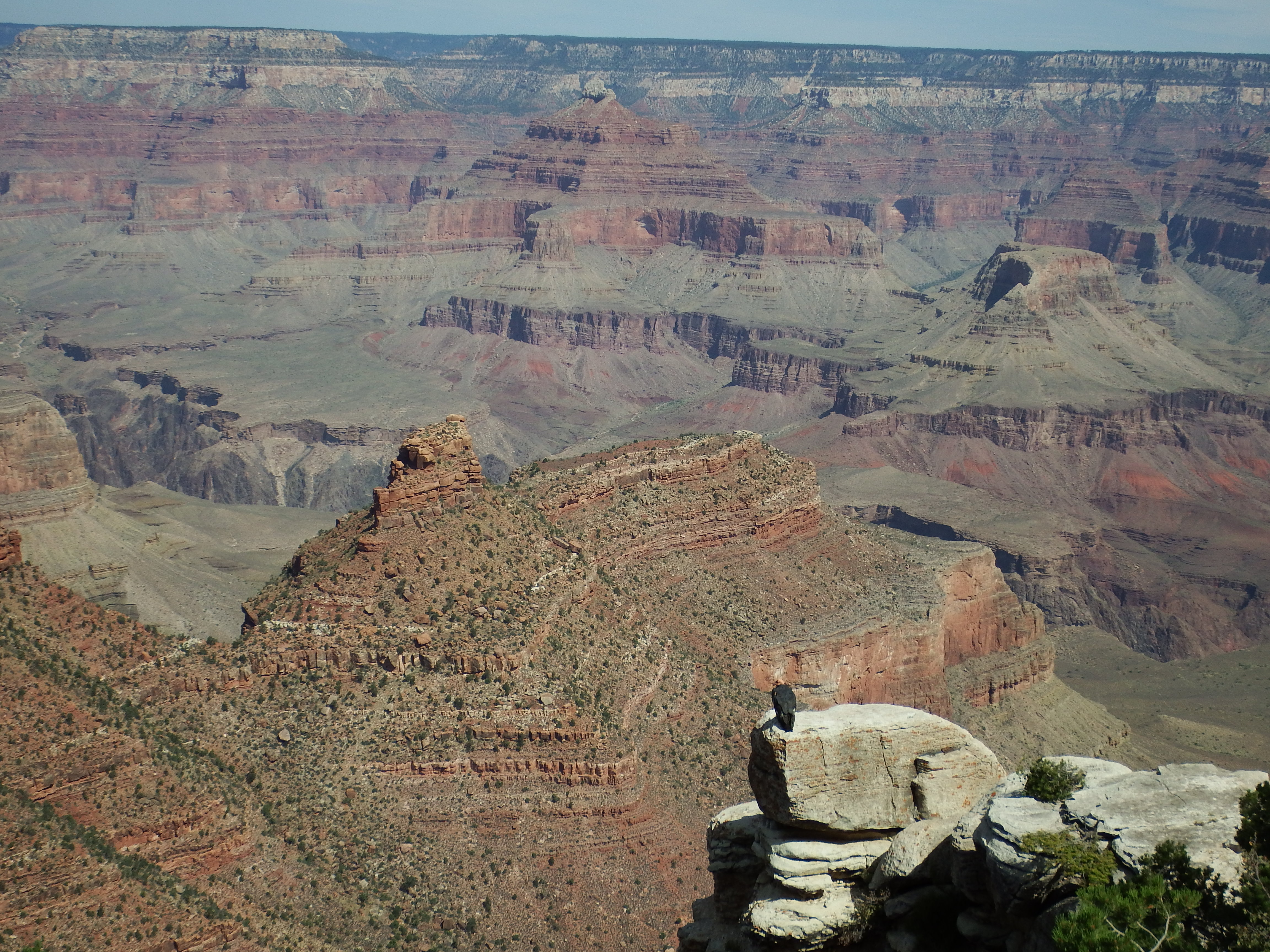DSCF0080.JPG