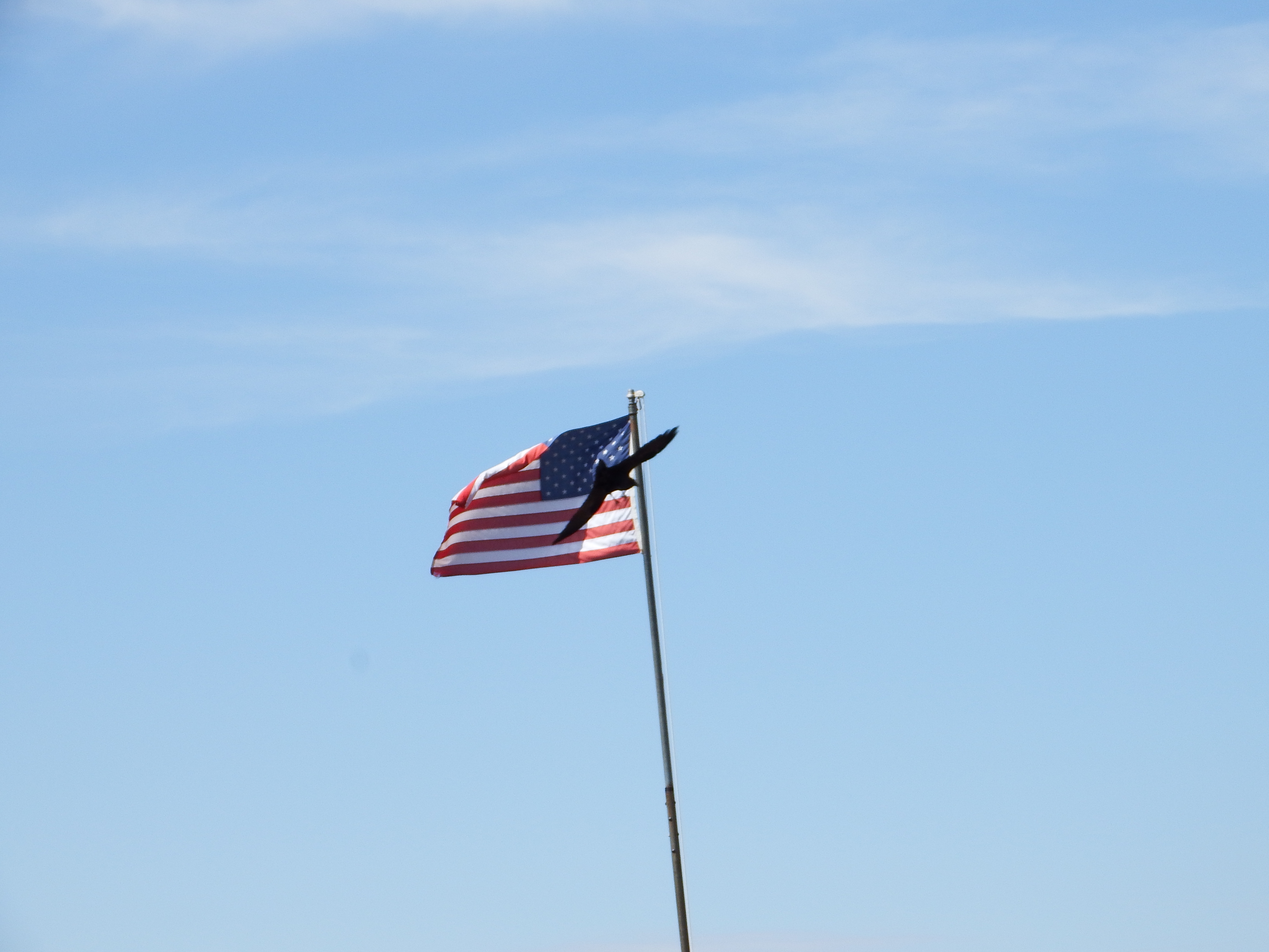 DSCF0088.JPG