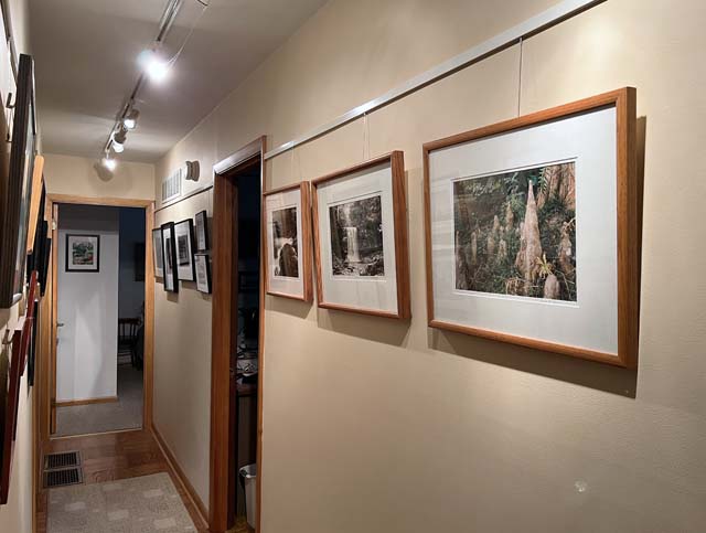 Hallway Gallery