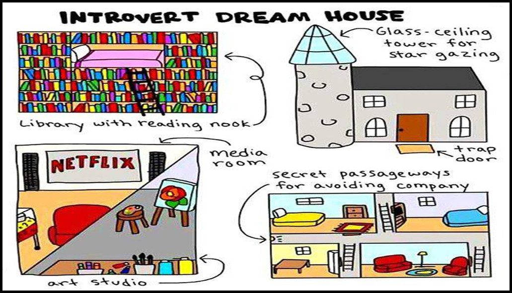 introvert - introvert dream home.jpg photo - harrisonphotography photos ...