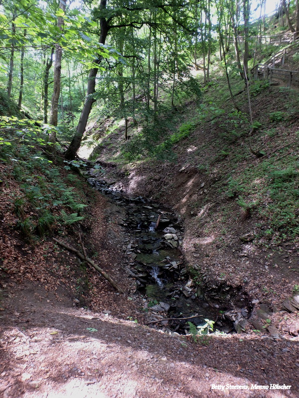 Winterberg - schlucht