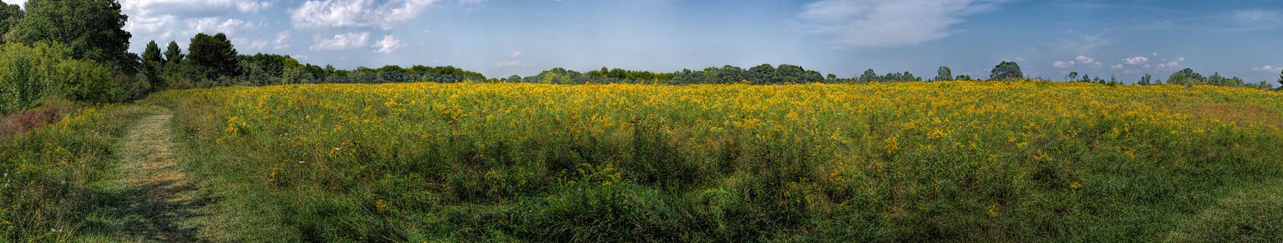 5_Rivers_Panorama1b_web.jpg