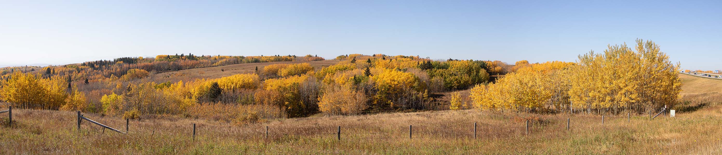 Bruce Smith 004 Fall Colours