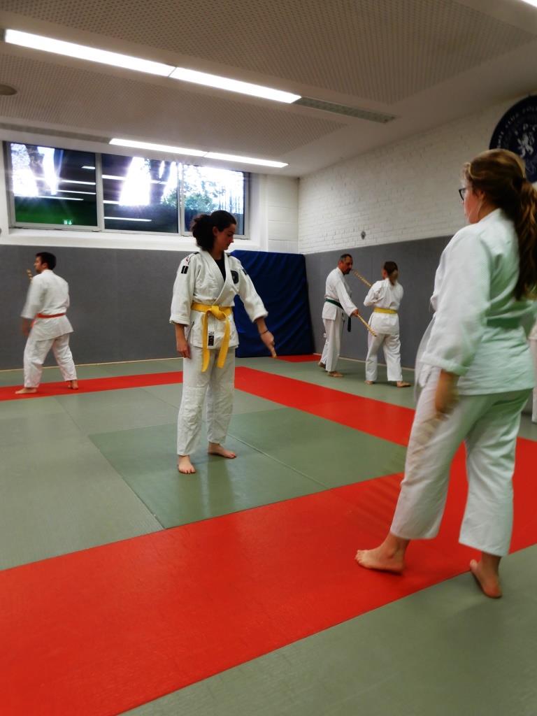  2019 Gemeinsamen Training AIKIDO & SDC (22).JPG