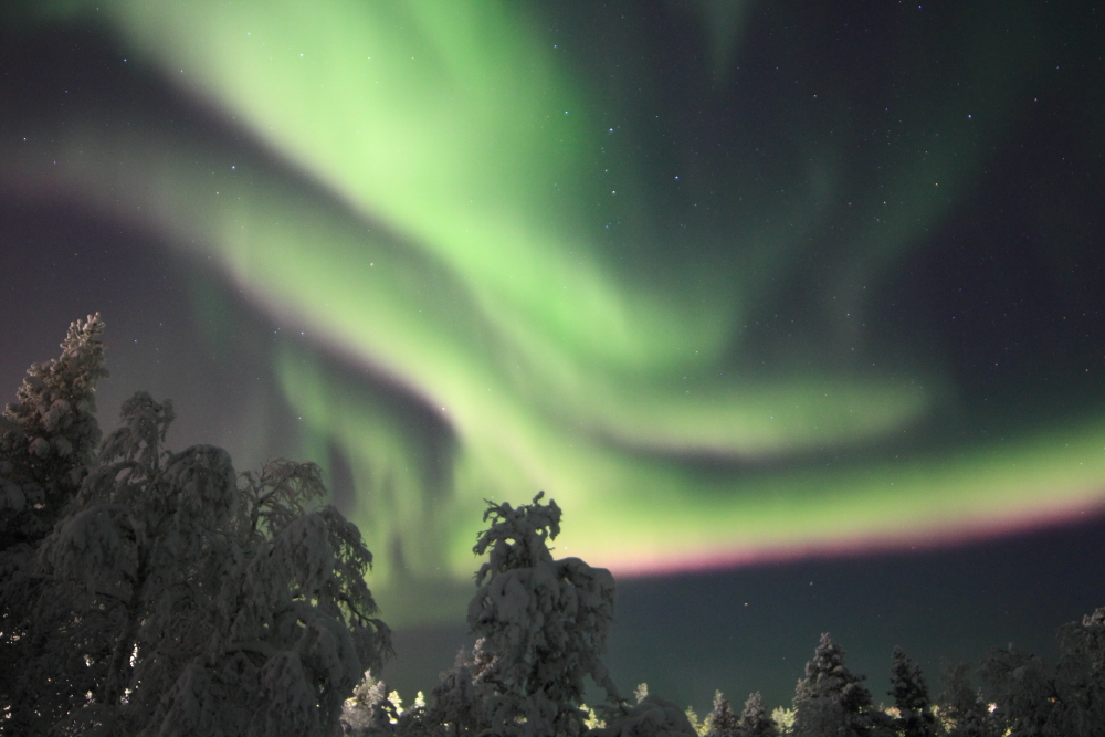 Fast-moving aurora 1/2 February 2019