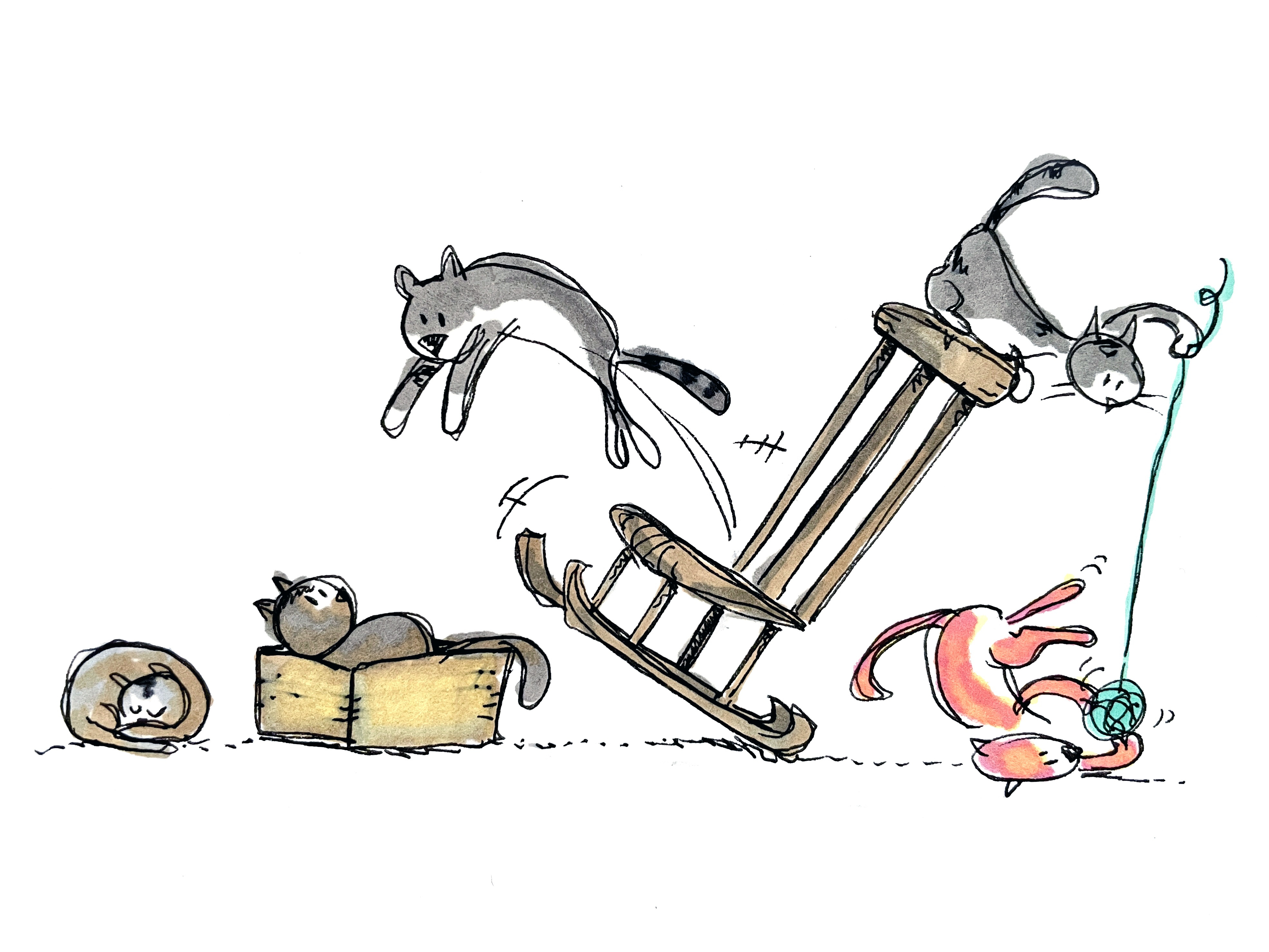 Cats_PB.jpg