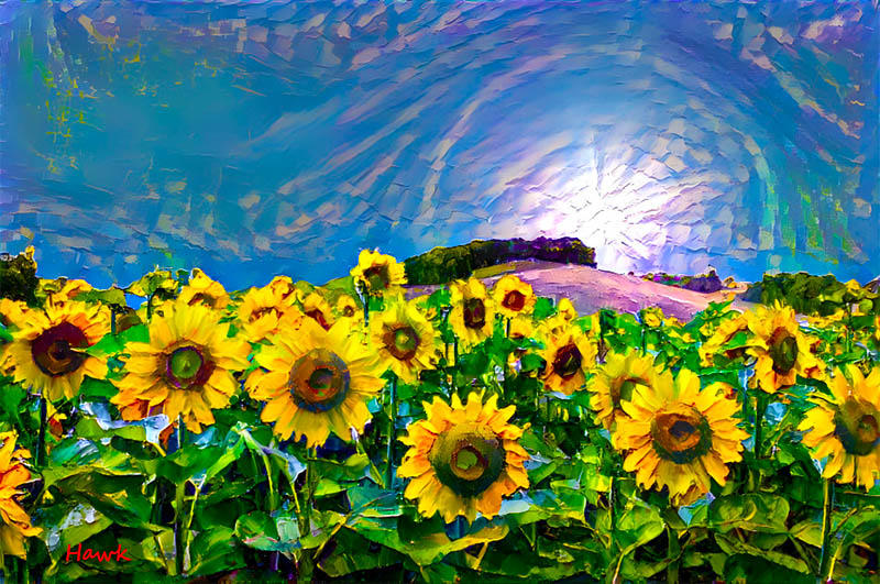 Dawn