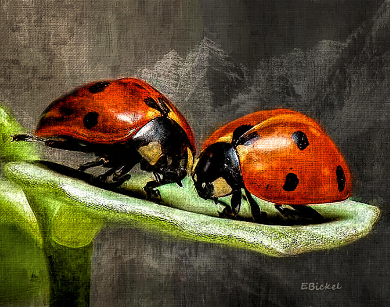 The Two of Us