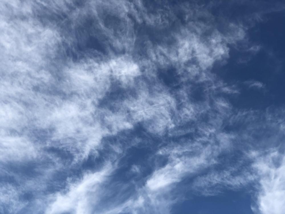Sky br Fay Lelley rs.jpeg