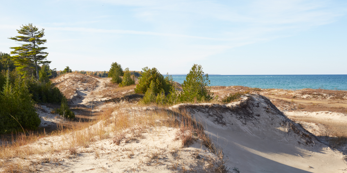 Dunes at Fishermens Island 