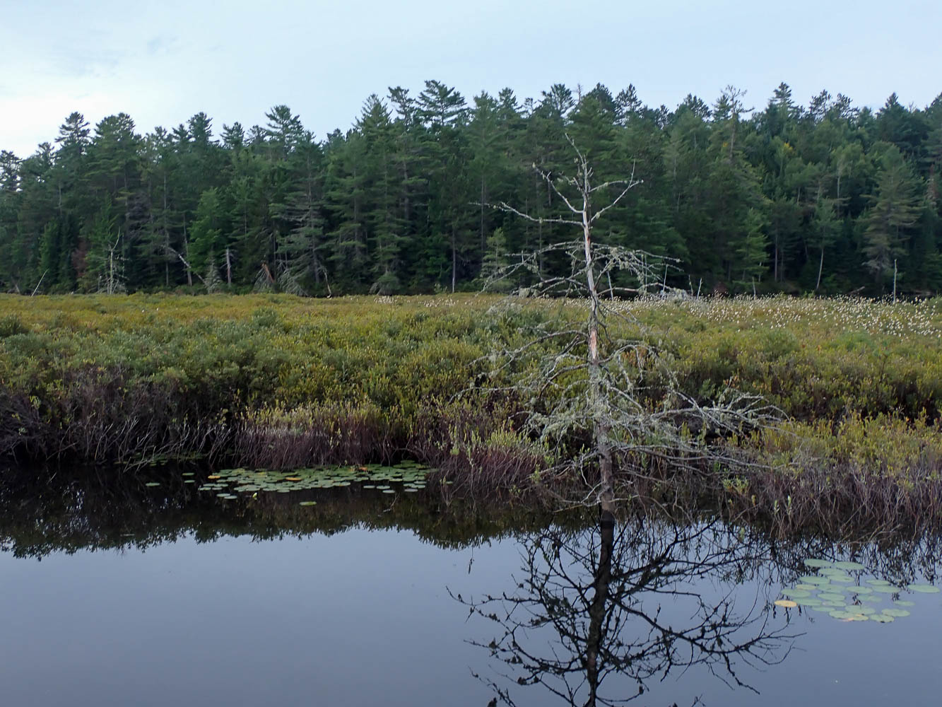 P8174605 TG6MLR2022.jpg