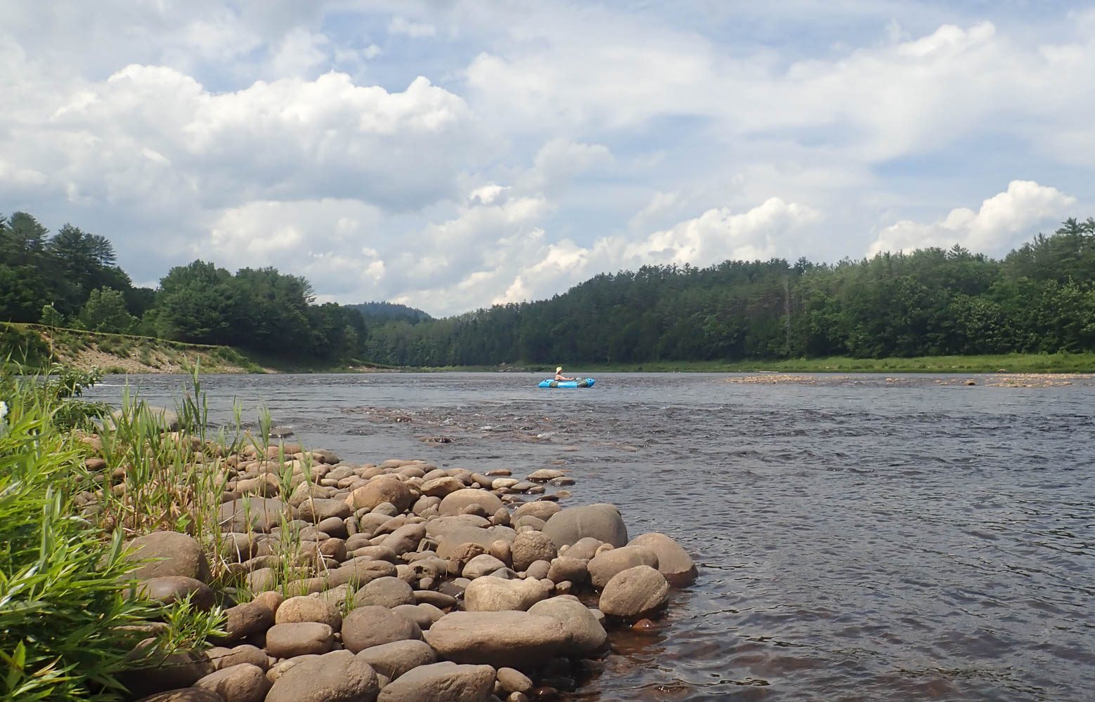 P7042166 MLR2023.jpg