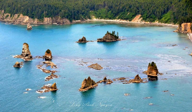 Giants Graveyard, Strawberry Point, Washington Needles Wilderness, Olympic National Park, La Push, Washington 305 