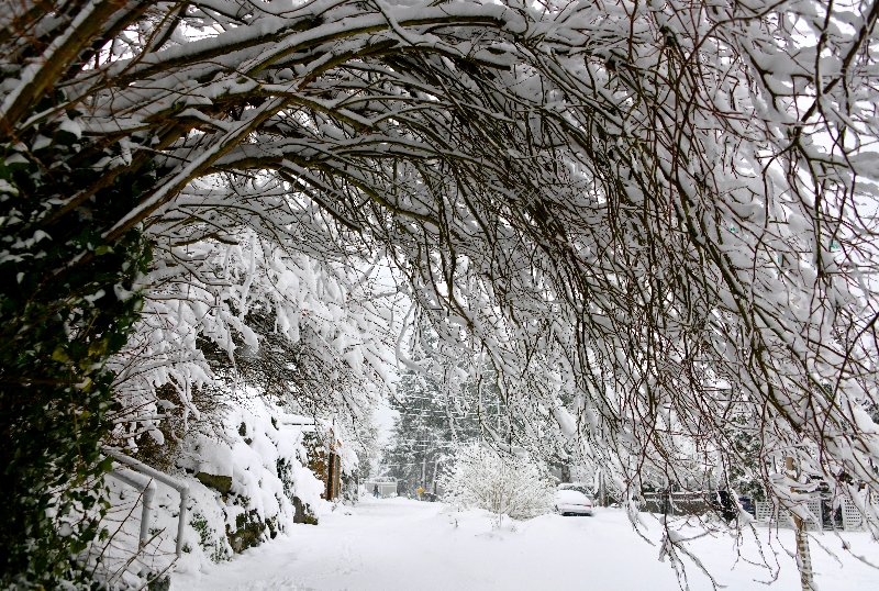 44th Ave SW in snow, West Seattle, Washington 150 
