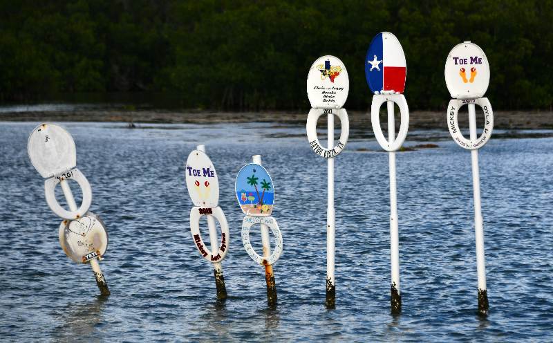 Toilet Seats Cut in Florida Bay, Florida Keys, Islamorada, Florida 151 