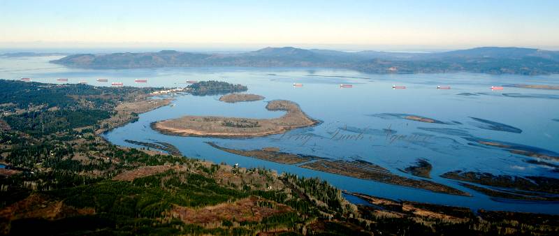 Cargo Ships waiting at Port of Astoria, Astoria, Oregon and Washington 114 