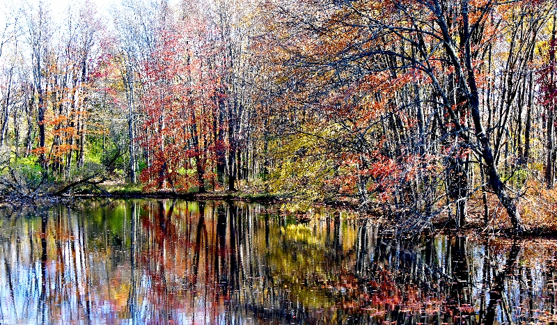 Fall foliage reflection lake Swarte Kill, New Paltz, New York 428