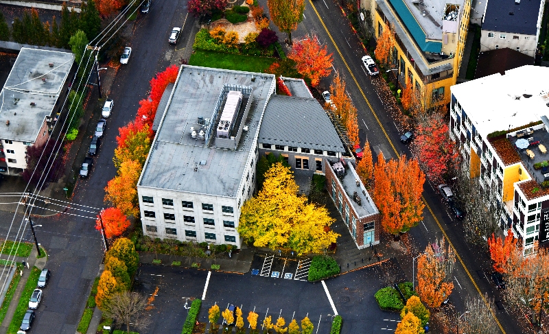 Autumn in Central District of Seattle, Washington 382 