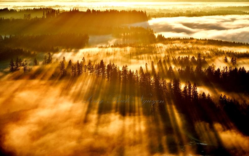 Cast long shadows across Green River Gorge Conservation Area, Black Diamond, Washington 217 