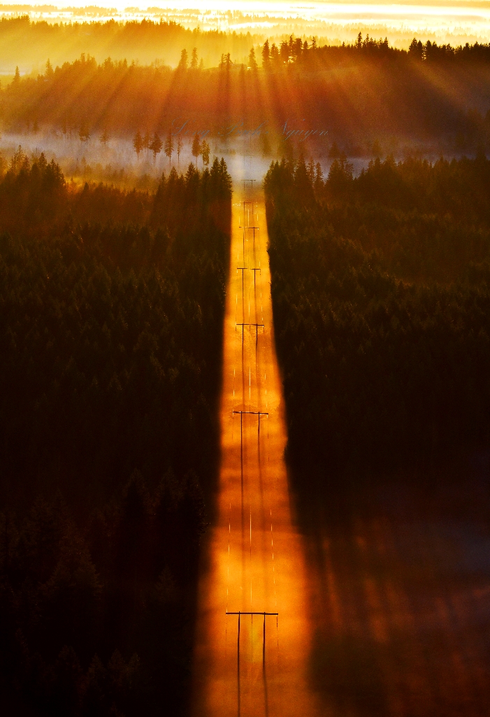 Golden Path on Powerline, Bass Lake Complex Natural Area, Encumclaw, Washington 303a 