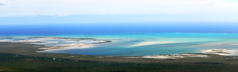 Andros Barrier Reef, Tongue of the Ocean, Andros Island, The Bahamas 424  