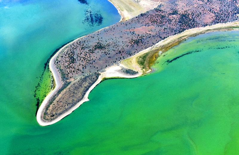 Eagle Lake Dolphin, Rocky Point, Buck Bay, Sandy Beach, Eagle Lake, California 552  