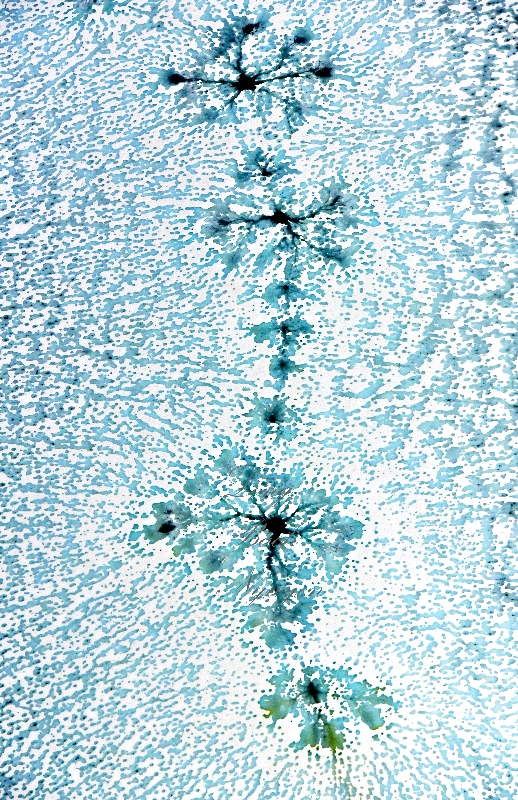 Snowflake pattern on Snow Lake, Cascade Mountains, Washington 307  