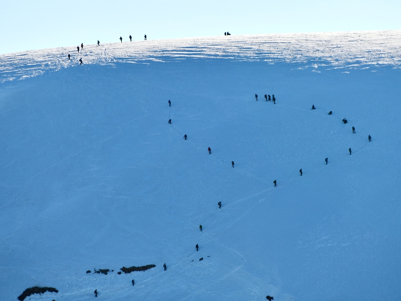 Climbers on Colman Glacier Mt Baker, Washington 463  