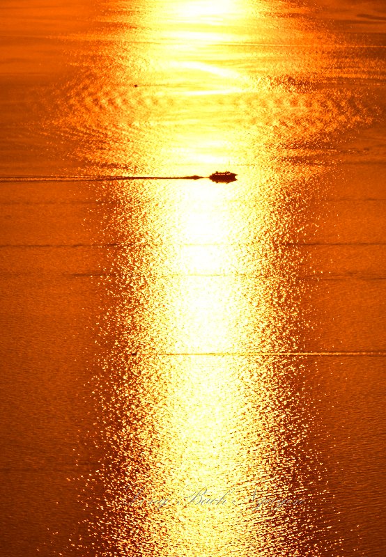 Boat Traffics at Sunset on Puget Sound, Washington 715 