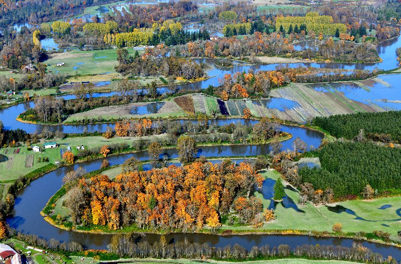 Fall Foliage in the  Snoqualmie River Valley, Duvall, Washington 290 