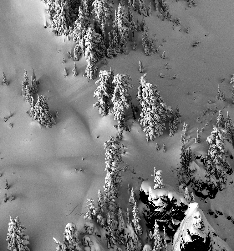 They went that a way on Mount Index, Cascade Mountains, Washington 297 