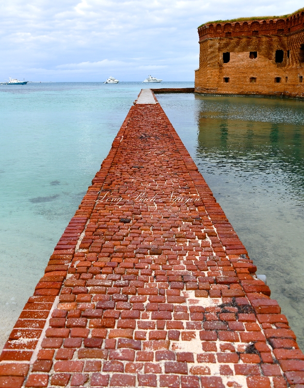 Fort Jefferson Moat Wall, Dry Tortugas National Park , Key West, Florida Keys, Florida 458a  