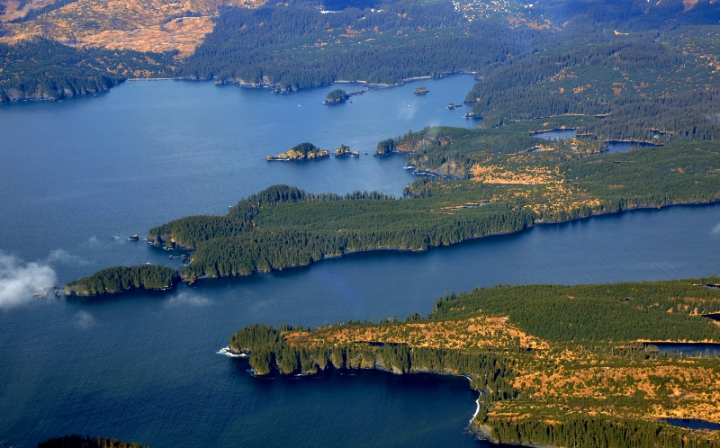 Afognack Island, Izhut Bay, Chugach National Forest, Alaska 095  