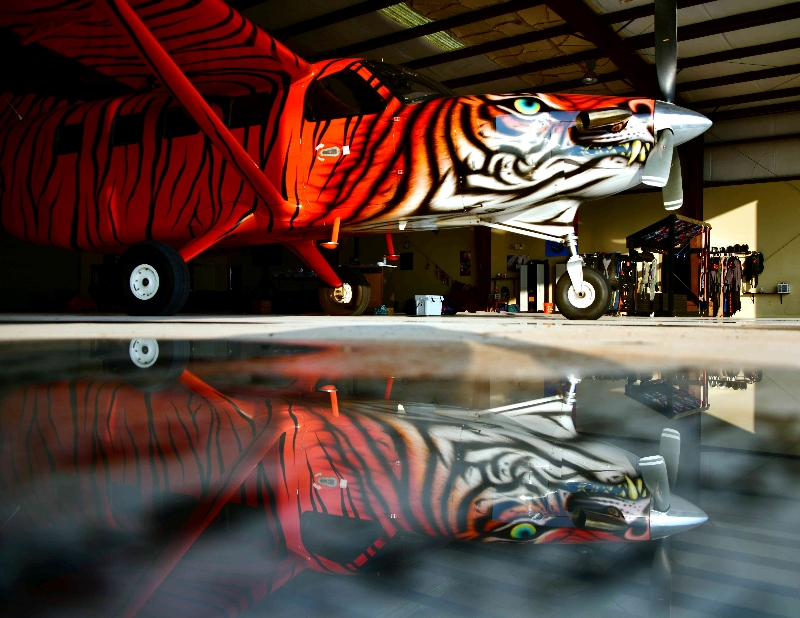 Bad Kitty Daher Kodiak, El Paso Skydive, Santa Teresa Airport, New Mexico 027a  