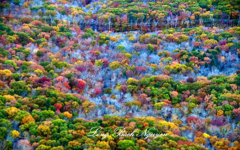 Colorful Forest west of Widham Airport, Willimatic, Connecticut 1161 