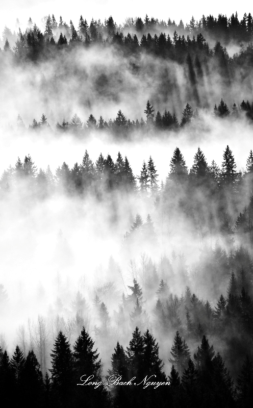 Fog Above Snoqualmie Valley, Duvall, Washington 227 