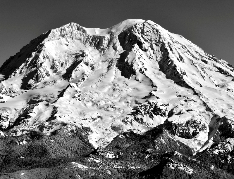 Mount Rainier National Park, Cascade Mountains, Washington 788a  