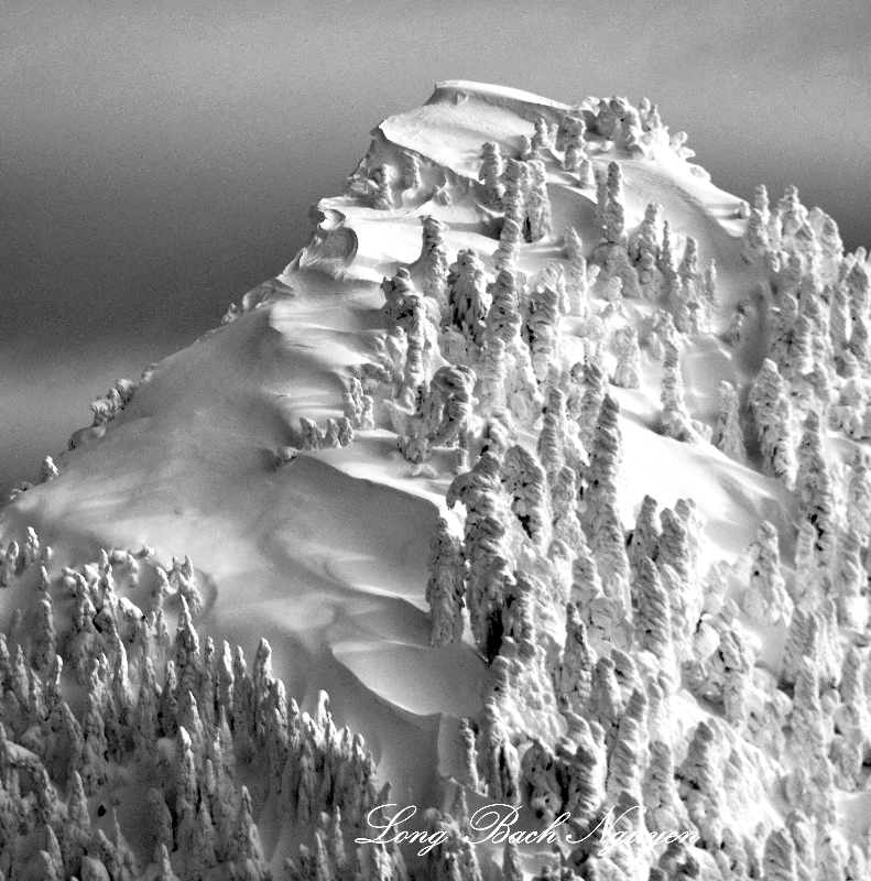Liberty Mountain Landscape, Washington 125a  
