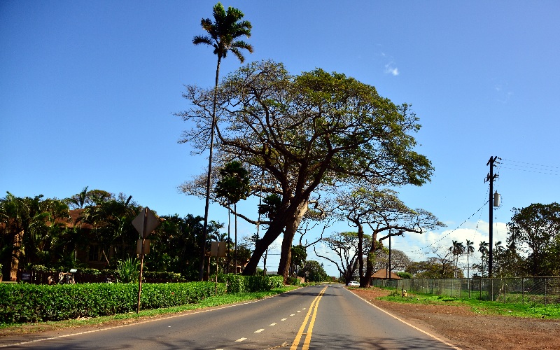 Hansen Rd, Maui, Hawaii 