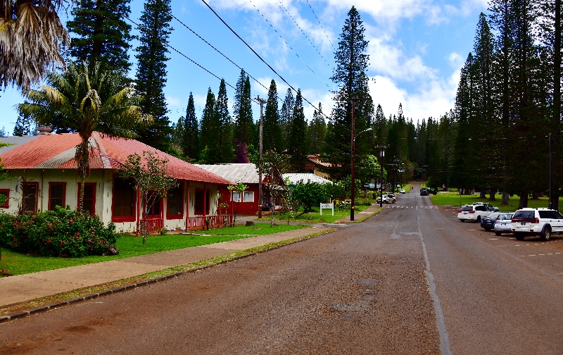 Dole Park, 7th Str, Lanai, Hawaii 174  