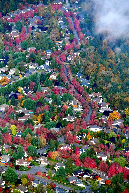 Manion Way NE and NE 150th St Duvall, Washington 197  