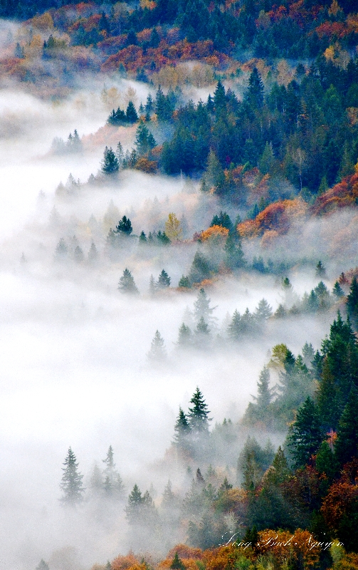 Fall Colors along Snoqualmie River Valley, Carnation Washington 2017b 