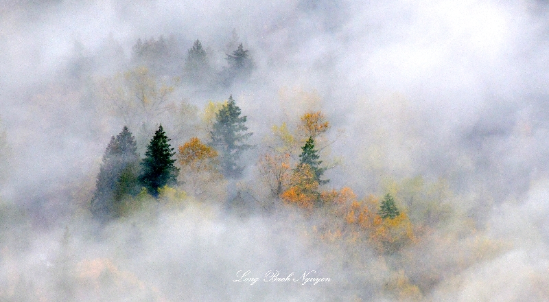 Last of the colors, Snoqualmie River Valley, Washington 2038  