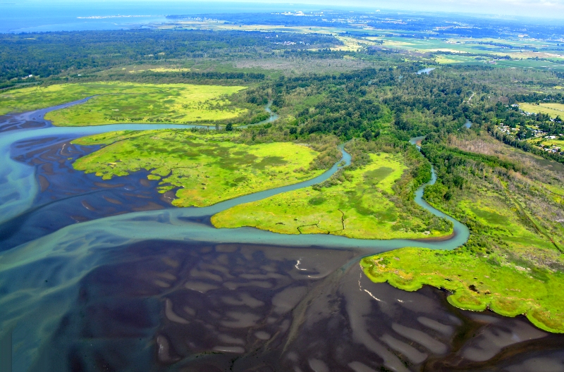 Nooksack River Estuary on Lummi Indian Reservation, Marietta, Ferndale, Washington 170 