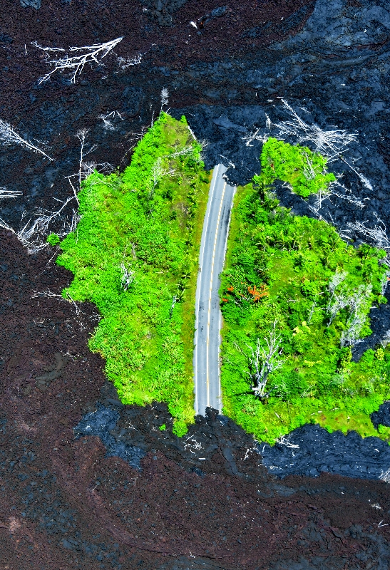 Kipuka aroud Pohoiki Road, 2018 Fissure 19 Lava Flow, East Rift Zone, Pahoa, Hawaii 1094 