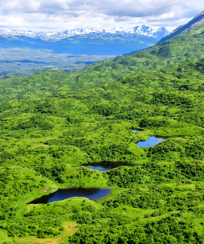 Small Lakes on Kodiak Island, Alaska 2077  