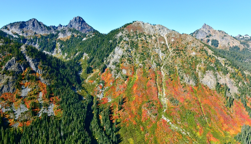 Fall Colors Alaska Mountain, Mount Thomsom, Huckleberry Mountain, Cascade Mountains, Washington 185