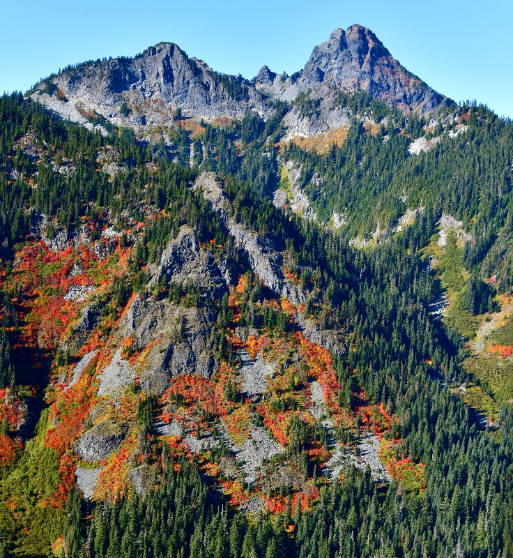 Fall Colors Alaska Mountain, Mount Thomsom, Huckleberry Mountain, Cascade Mountains, Washington 178