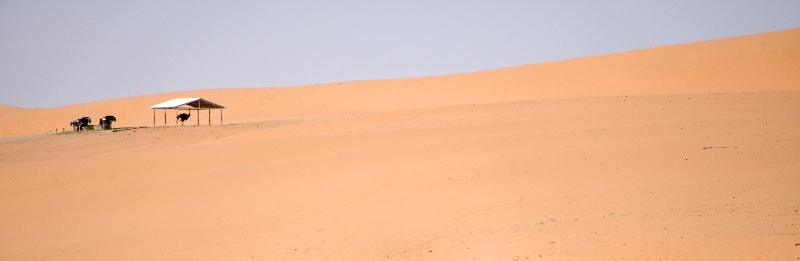 Nofa Wildlife Park, Tibrak Saudi Arabia 2715  