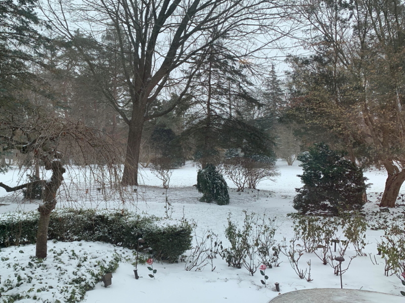 Celebrating Cold and Snow 2